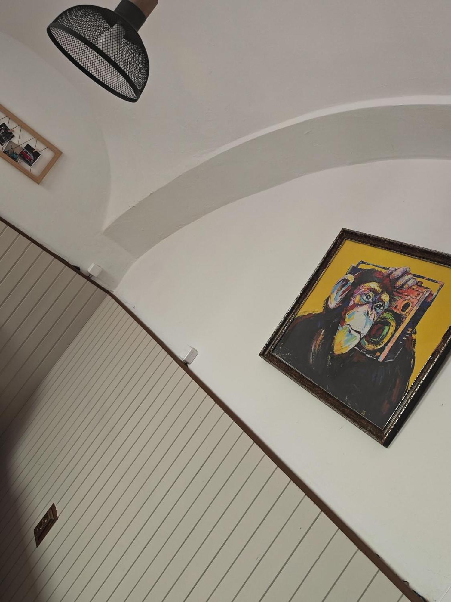 Vintage Room With Garden View Bratislava Dış mekan fotoğraf